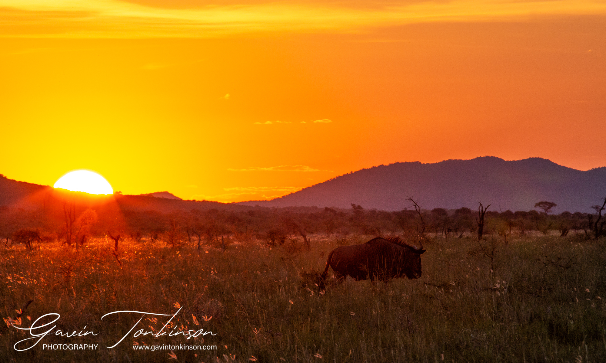 Madikwe Safari Weather Guide